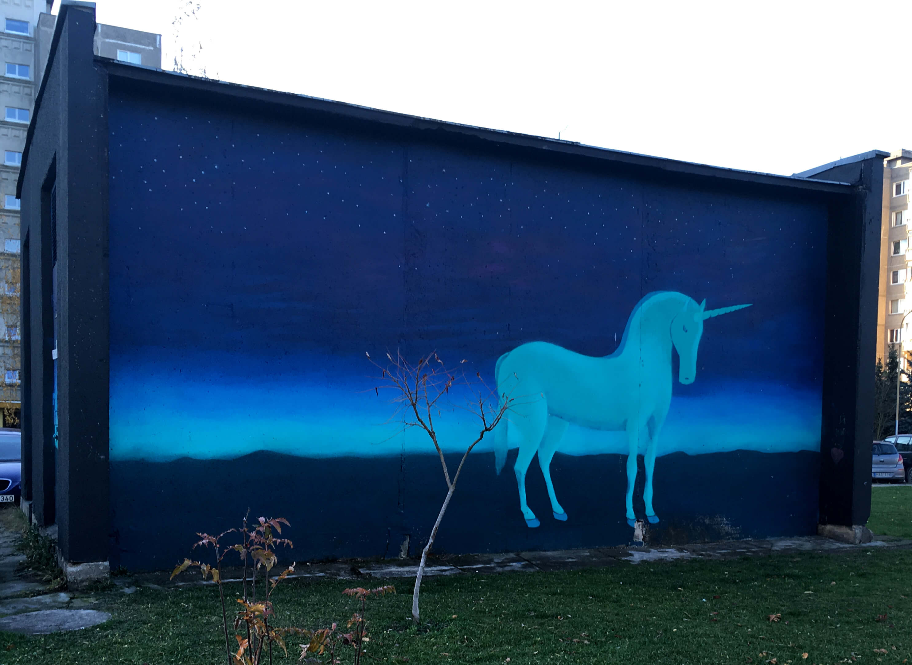 fantastinis_vienaragis_Silainiuose_2018_aj