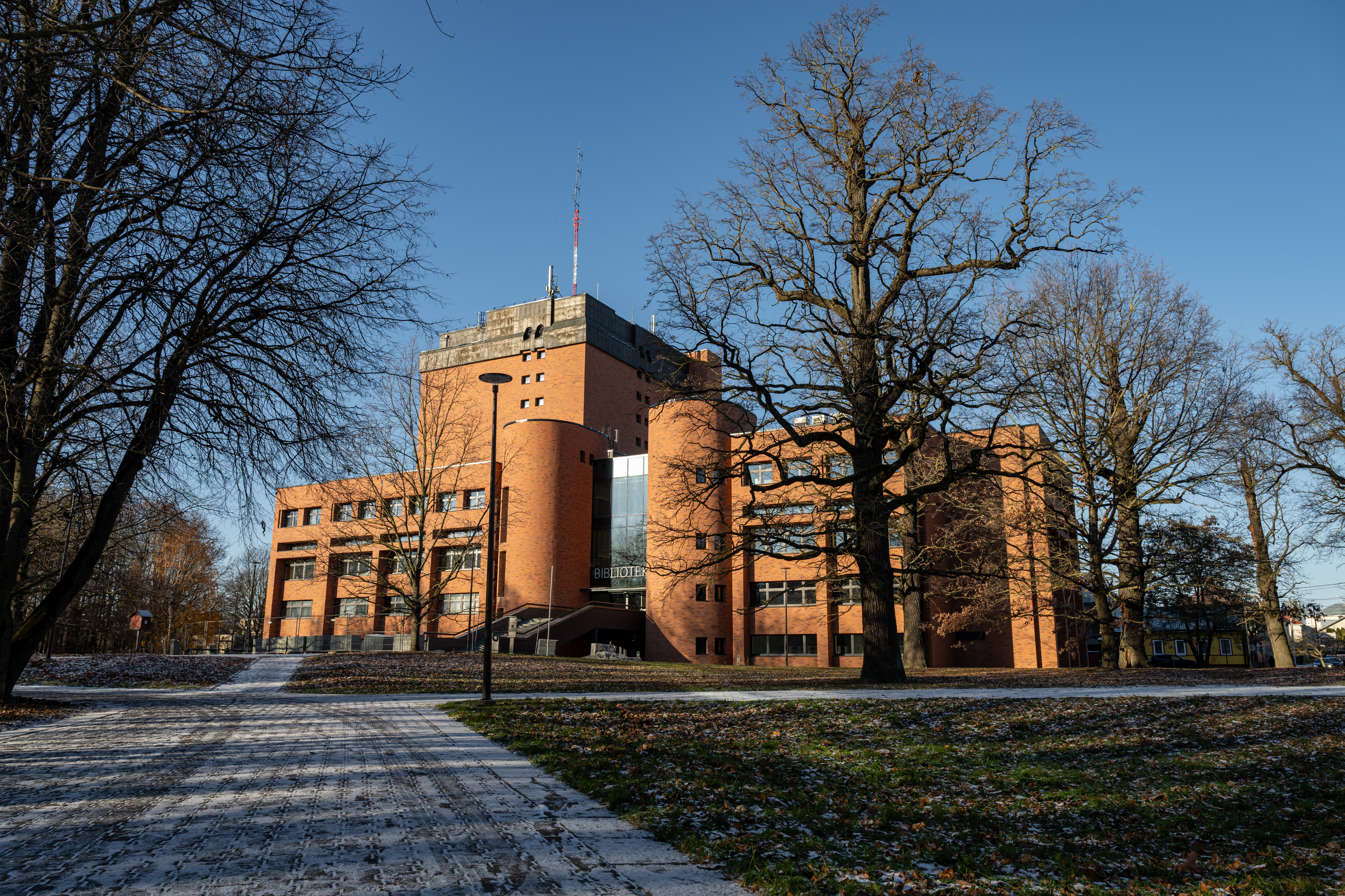 Azuolyno biblioteka_2023